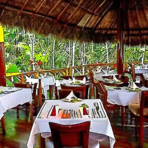 Read more about the article Costa Rica Caribbean Cuisine Aboard La Katonga in Tortuguero National Park

This is the beginning of your article.

Costa Rica Caribbean Cuisine Aboard La Katonga in